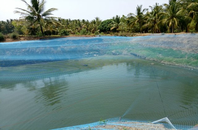 Mekkara Fish Hatchery Thrissur